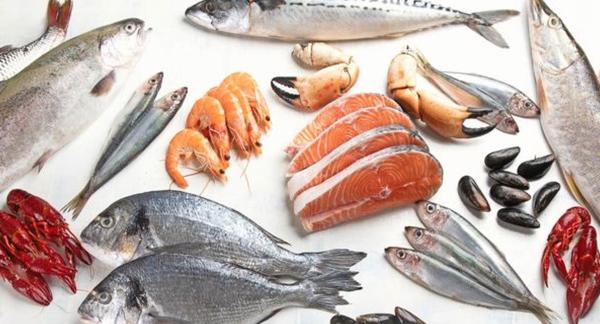 BALIKLAR GÜNLÜK FİYAT